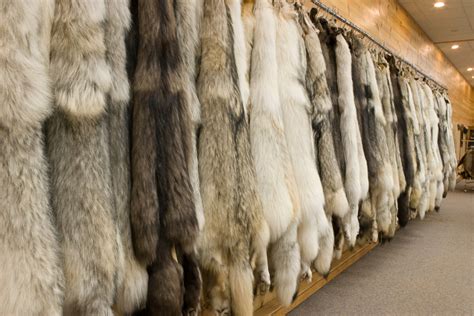 Pelt Definition & Meaning .